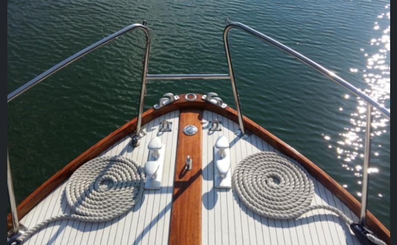 Family Cruiser-kuva-2